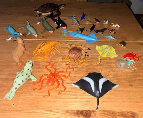 Morské zvieratá,