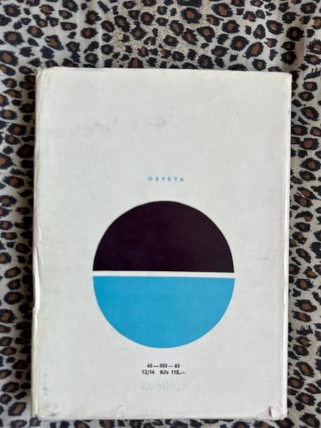 Dejiny svetovej literatúry 2 - kolektiv autorů, 