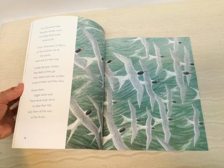 Nick dowson north  nsp21, 