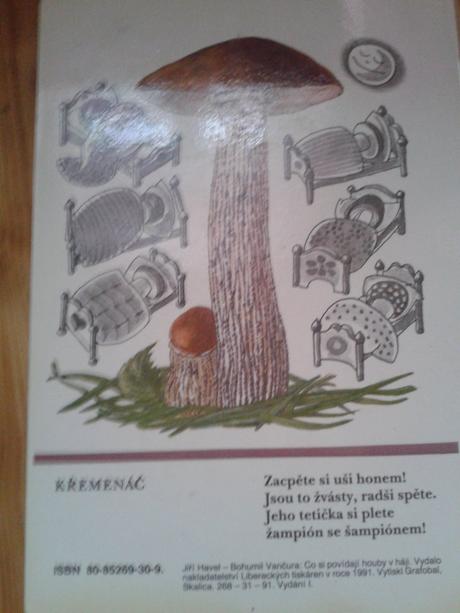 Co si povidají houby v háji , tvrde leporelo - 3e,
