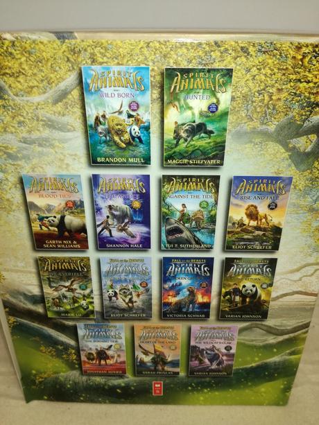 Spirit animals set x 13, 