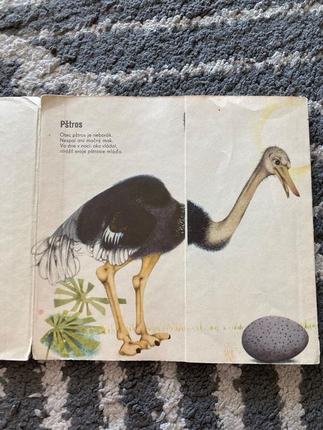 Čo sa sníva mrožovi (1969), 