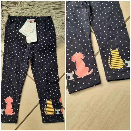 Leginky, topolino,98