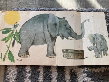 Čo sa sníva mrožovi (1969), 