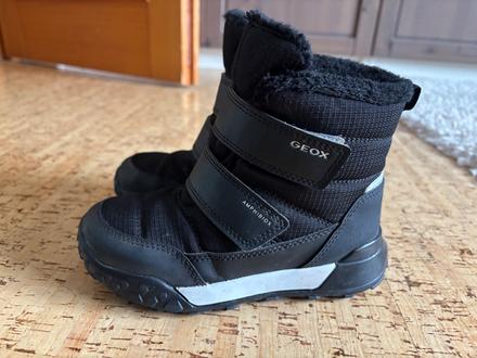 Snehule, geox,28