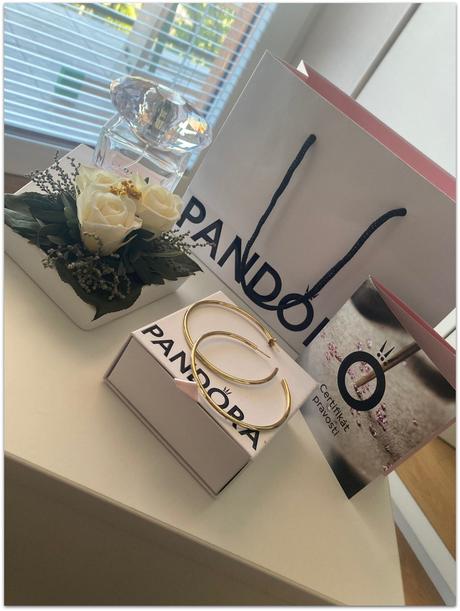 Pozlátené kruhové náušnice pandora, pandora