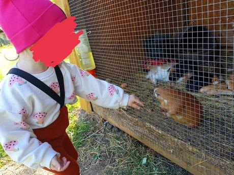 Zara mikina 92, zara,92