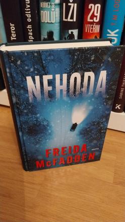 Nehoda - freida mcfadden,