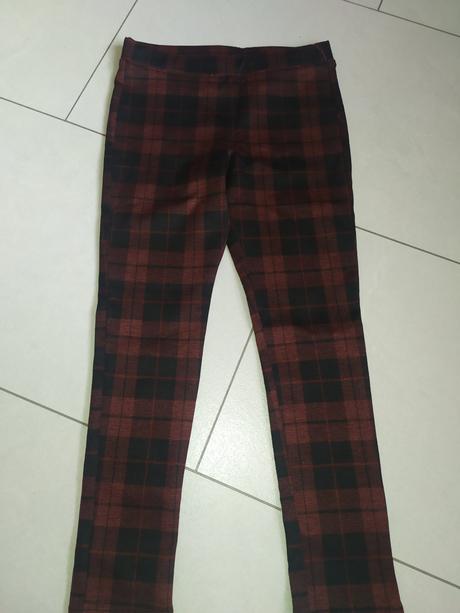 Legíny, palomino,122