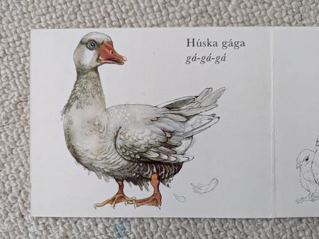 Medzi vtákmi leporelo, 