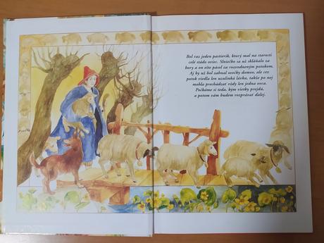 Rozprávky boženy nemcovej (2004), 