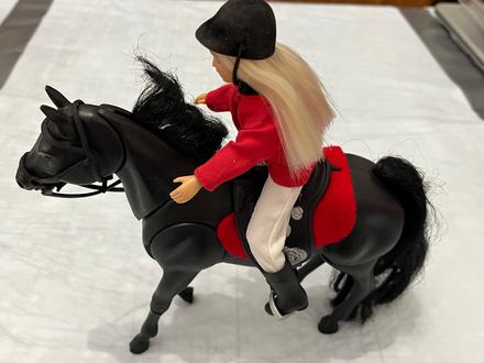 Čierny koník s jokejkou zn. teddies, 