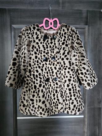 Leo chlpatý kabatik, 104