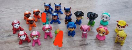 Panačikovia paw patrol, 