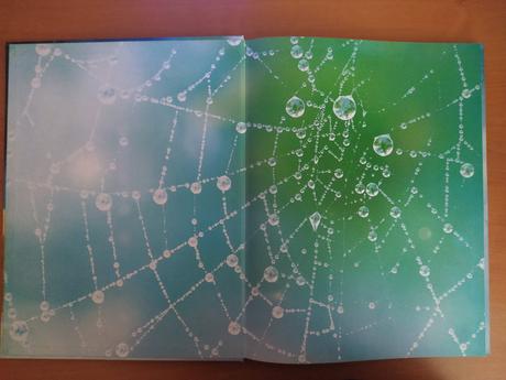 Svet zvierat (2005), 