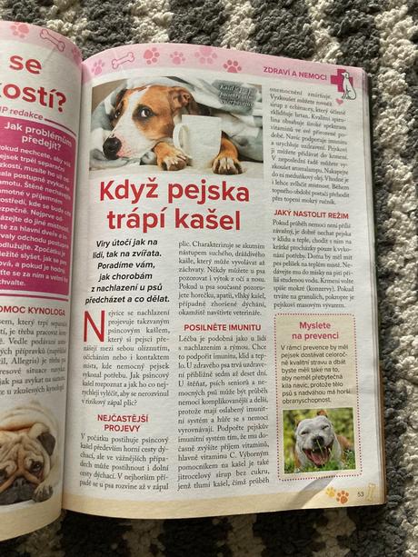 425 skvělých tipů, jak si vybrat nejlepšího pejska, 