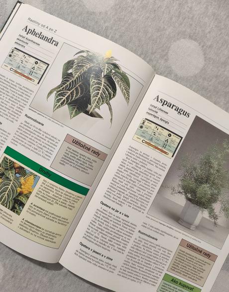 Rastliny v byte a na balkóne, 