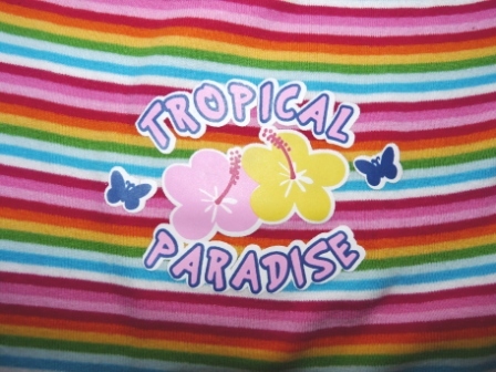 Pasikove pestrofarebne, 80