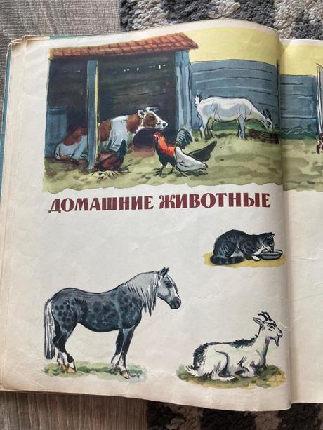 Russkij jazyk v kartinkach (1964), 