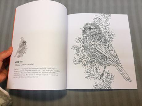 Georgie woolridge birds colouring book nsp22,