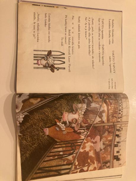 Zimná knižka pre lucinku, 