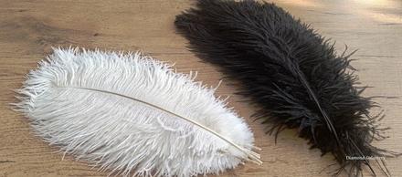 Dekoračné pierka - 30-35 cm (biela), čierna,