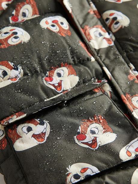 Zateplená bunda chip and dale reserved, reserved,110