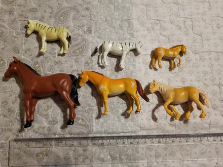 Zvierata - kone a zebry,