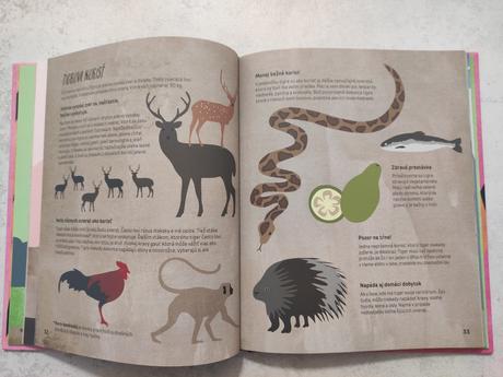 Stretnutie s tigrom, 