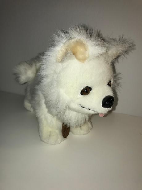 Biely psík - realistický vzhľad - sam,