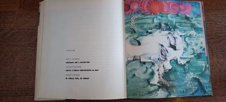 Kniha tučniačatá puk a kuk, 