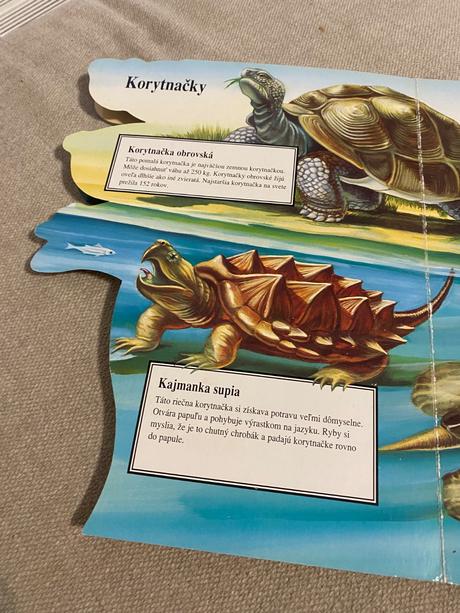 Krásne leporelo plazy v malíčku nayer judy 1992,