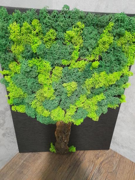 Živý machový obraz strom,