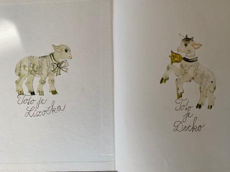 Rudo moric krásna kniha lízočka a drcko z kamenice,