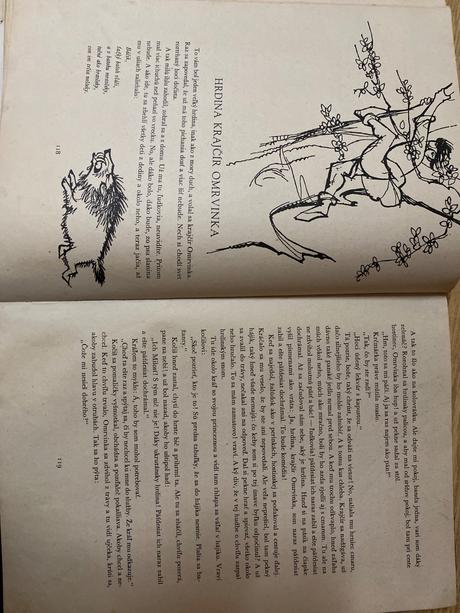 Kniha- princezná rozprávka, 