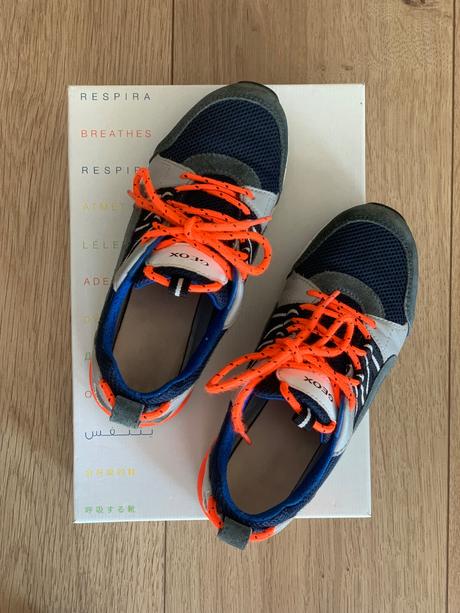 Tenisky geox, geox,36