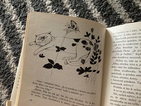 Dora a medveď-prvé vyd.1979, 