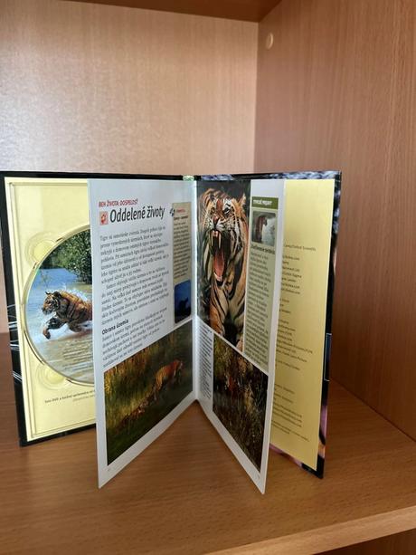 Dvd - výprava do barin -  tygre, 