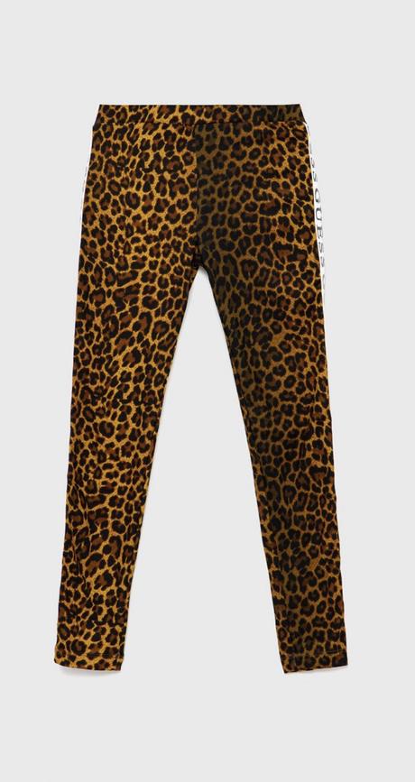 Leginy guess, guess,140