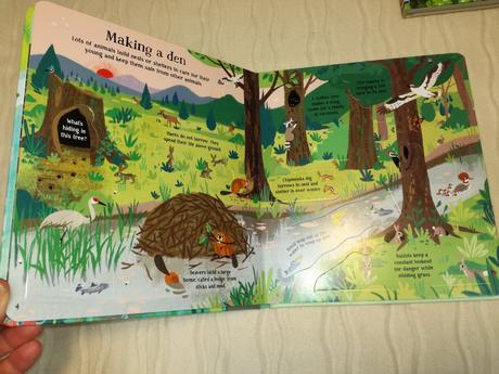 Usborne look inside the  jungle nsu19, 