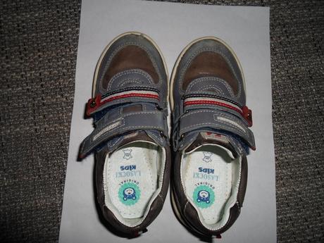 Poltopanky, lasocki,26