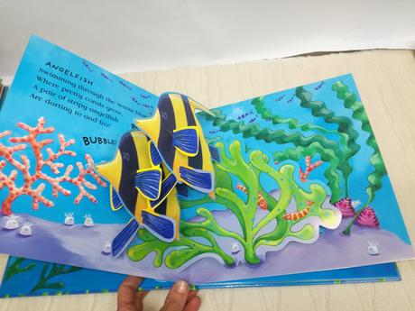 Amazing pop-up fun crunching munching caterpillar,