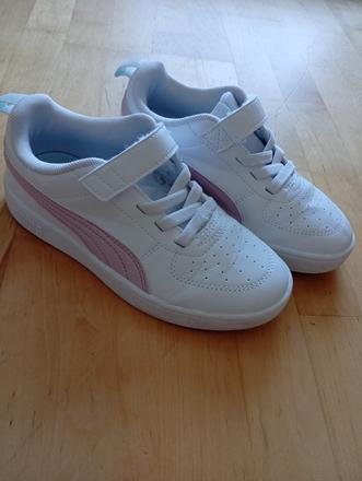 Krásne puma v .33, puma,33