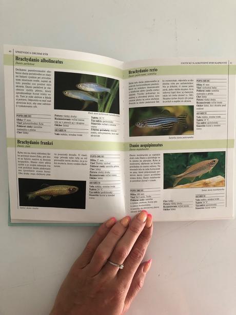 Knižka o akvariovych rybkach, 