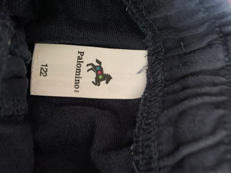 Kratasy, palomino,122