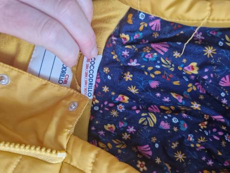 Overal na zimu, coccodrillo,86