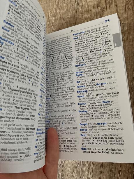 Lingea anglický slangový slovnik, 