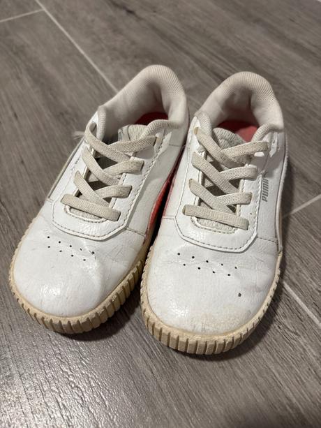 Botasky puma, puma,26