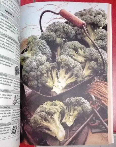 Jedlo jed alebo liek / keď strava dokáže zázraky,