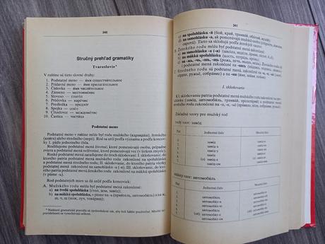 Rusko-slovenský+slovensko -ruský-392 strán, 